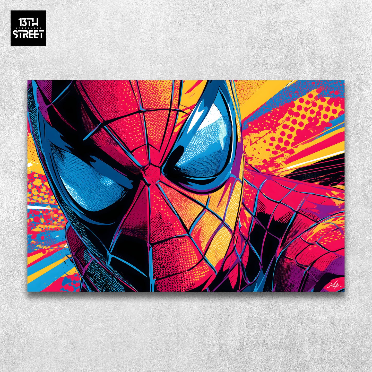 Zak - Spiderman Web Hero - Toile